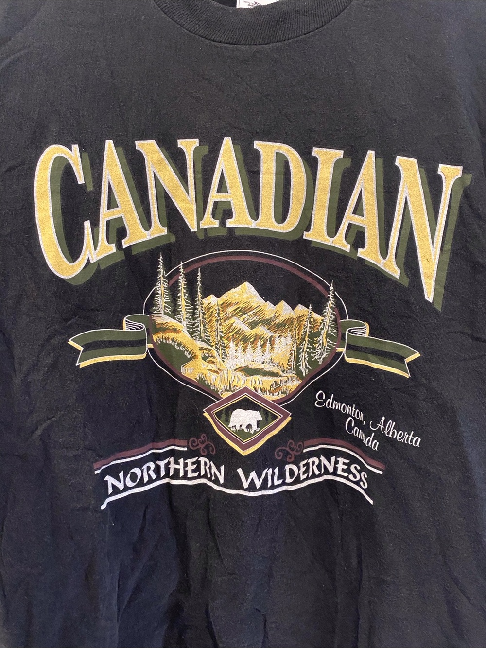 Vintage Fruit of the Loom Black Canadian Northern Wilderness Graphic Tee - Picture 3 of 3